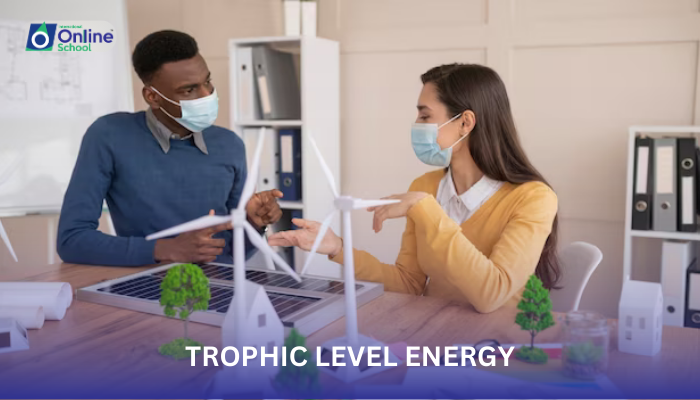 Lesson 07: Trophic Level Energy Relations